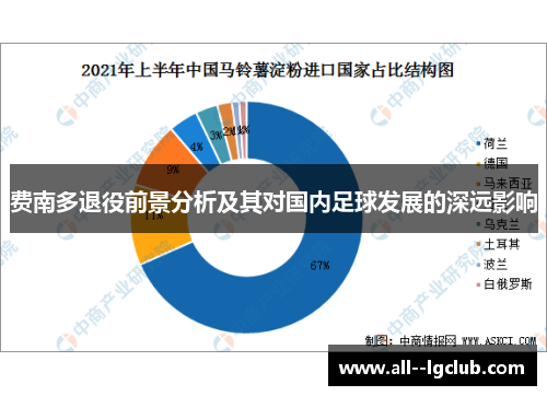 费南多退役前景分析及其对国内足球发展的深远影响 费南多退役前景分析及其对国内足球发展的深远影响