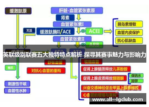 英联级别联赛五大独特特点解析 探寻其赛事魅力与影响力