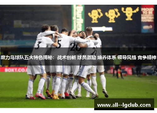 魔力鸟球队五大特色揭秘:战术创新 球员激励 培养体系 领导风格 竞争精神 魔力鸟球队五大特色揭秘:战术创新 球员激励 培养体系 领导风格 竞争精神